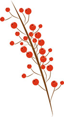 Illustration of holly berries in brown and red color.