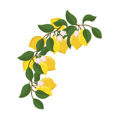 A composition of lemon twigs and lemons in the form of a wreath. Citrus composition. Vector illustration isolated on a white background.