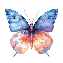 Dreamy Butterfly Wings in Watercolor Clipart
