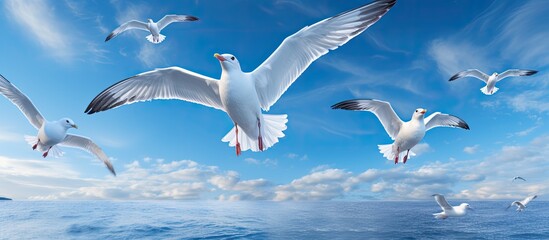 A flock of seagulls gracefully gliding through the sky over the vast expanse of the ocean, their wings outstretched and bodies soaring effortlessly.