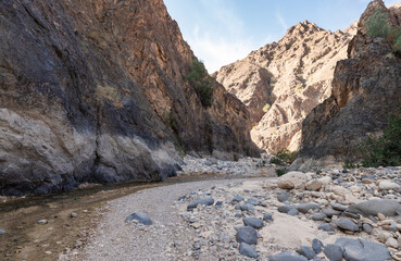 Fototapeta na wymiar Bends of the shallow river between the banks overgrown with the greenery in the gorge Wadi Al Ghuwayr or An Nakhil and the wadi Al Dathneh near Amman in Jordan