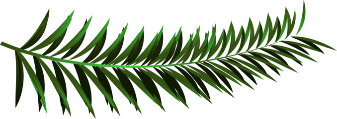 Realistic pine leaves on white background. - obrazy, fototapety, plakaty