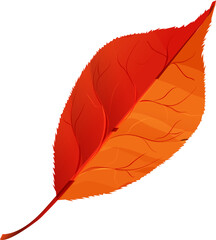 Red leaf on white background.