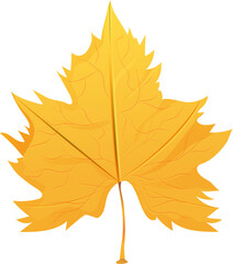 Orange maple leaf element.