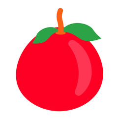 Isometric eloement of tomato in flat style.
