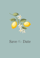 Wedding invitation. Lemon illustration. hand-drawn frame. - 746968596