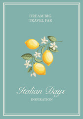 Italian Lemon Poster. Citrus Wall Art. - 746969578
