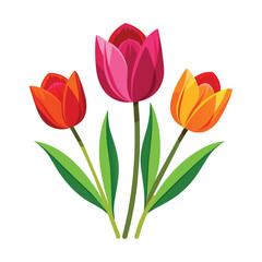 Isolated Tulips Vector Illustration on white