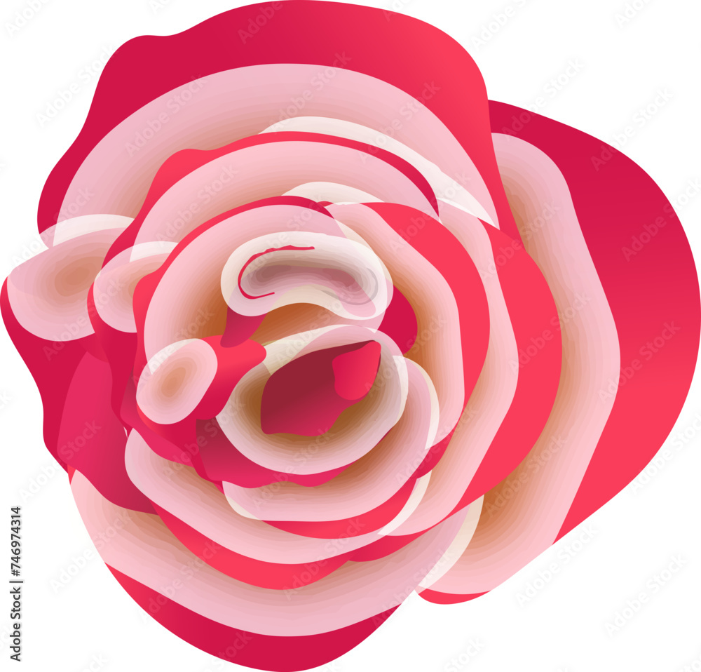 Sticker Realistic red rose flower on white background.