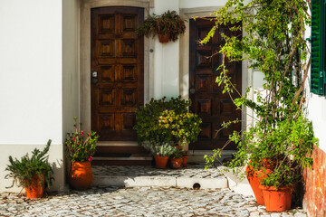 House with wooden doors and green decorative plants.