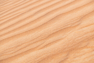 Sand dunes in the desert at sunset. Abstract natural background.