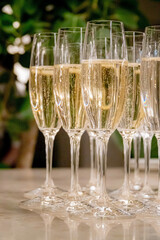 champagne glasses in the restaurant