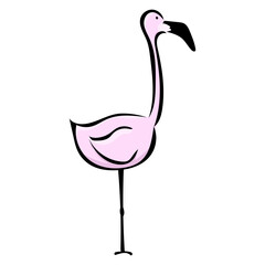 Flamingo