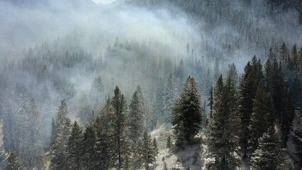 Flying over smoking wildfire forest, first snow preventing the spread - Aerial view