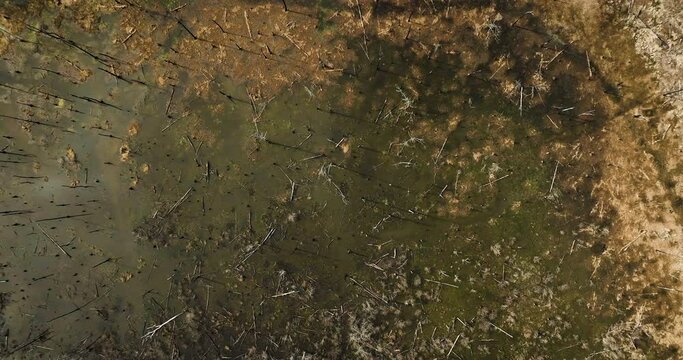 The point remove wildlife area, blackwell, ar with vibrant wetland textures, aerial view