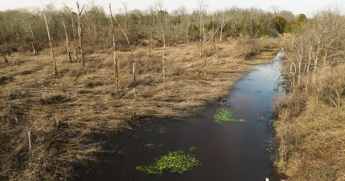 Point remove wildlife area, blackwell, ar, with a meandering stream and bare trees, aerial view