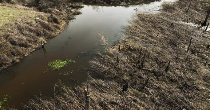 Point remove wildlife area, blackwell, arkansas, with dry grass and still water, aerial view