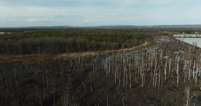 Point remove wildlife area, blackwell, ar, with leafless trees and wetlands, aerial view