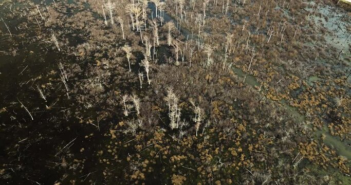 Point remove wildlife area, blackwell, ar, showcasing a vibrant marshland, aerial view