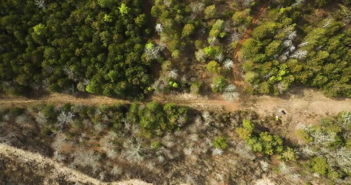 Point remove wildlife area with a dirt path and lush greenery in blackwell, ar, usa, aerial view