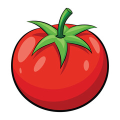 Isolated Tomato Vector Illustration on white