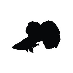 Guppy fish design silhouette. Guppy fish have many types and color patterns.