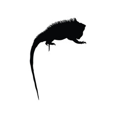 vector design of the silhouette of an iguana animal which has a unique body shape