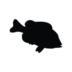 vector design of the silhouette of a peacock bass fish that has a unique body shape