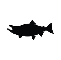 vector design of the silhouette of a predatory fish that has a unique body shape