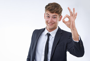 Business man, portrait and OK hand gesture for success, support and agreement with emoji on white background. Praise, pride and excellence with vote or feedback, corporate employee and gratitude