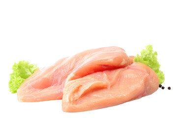 Chicken meat isolated