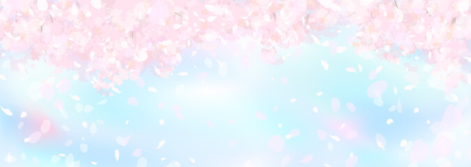 おぼろげな桜と青空