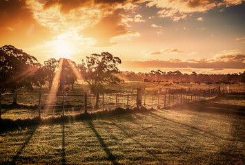 The sunset view of the countryside Gippsland in regional Victoria - obrazy, fototapety, plakaty