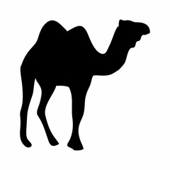 silhouette of a black camel standing