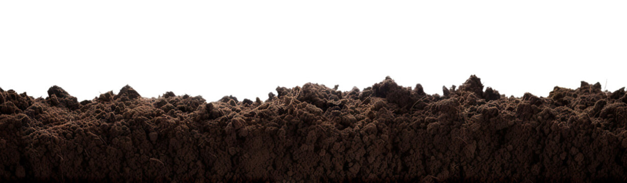 Black soil cut out