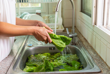 Woman washing vegetables at the sink in home kitchen, vegetable washing with water food hygiene and...