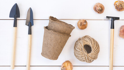 Tools for planting seedlings, top view