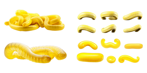 Collection of yellow worm isolated on a white background as transparent PNG