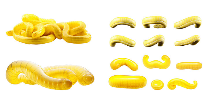 Collection of yellow worm isolated on a white background as transparent PNG