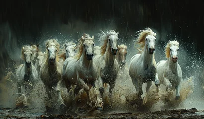 Deurstickers Toilet Herd of white horses galloping powerfully through water under a dramatic rain shower.
