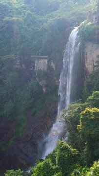 Waterfall in the jungle. Sri Lanka. Ramboda Falls in the rainforest. Vertical video.