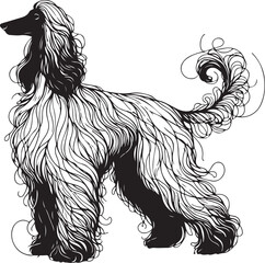 afghan hound dog pet portrait in line art or stencil art vector illustration, isolated on transparent background