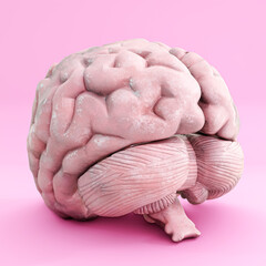 brain isolated on pink background - 747031700