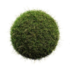 grass ball isolated on white background - 747031775