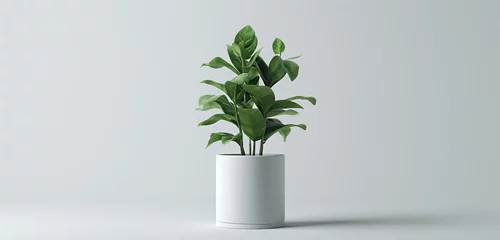 Foto op Canvas Plant pot mockup featuring a clean, cylindrical design with a matte finish for corporate branding and motivational messages © MuhammadHamza