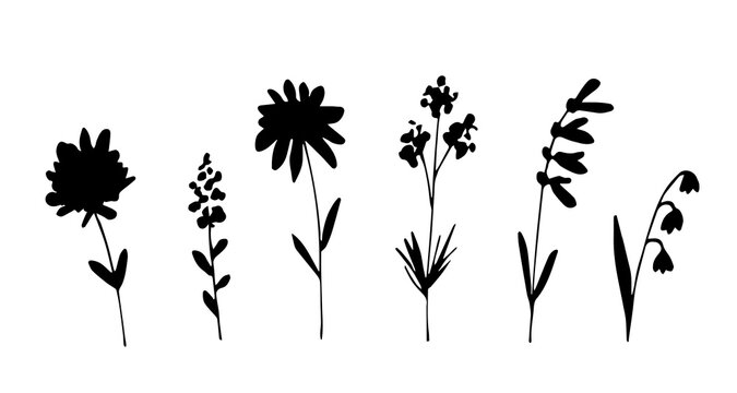 Simple vector drawing. Wildflowers set, black silhouette. Meadow grasses, stems. Nature, plants.
