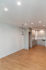 The lamp hanging on the ceiling in the renovated apartment