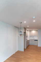 The lamp hanging on the ceiling in the renovated apartment