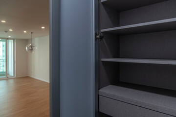 The cabinet at the entrance corridor in the renovated apartment