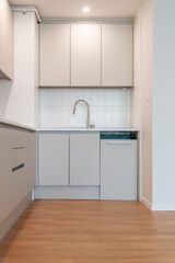 The interior of the renovated kitchen in the apartment